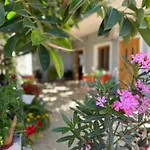 Maison d'hôtes Albi's 4*