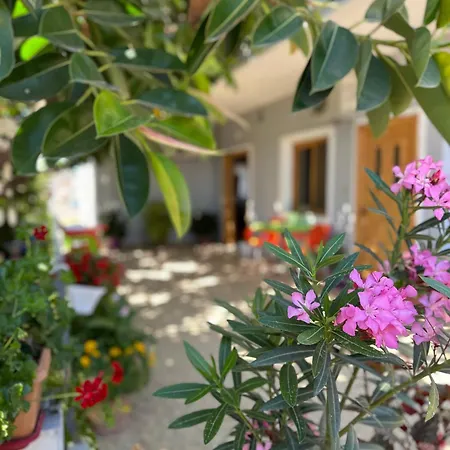 ゲストハウス Albi's 3*