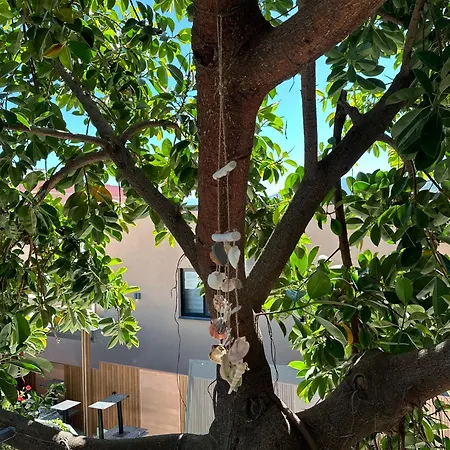 ゲストハウス Albi's 3*