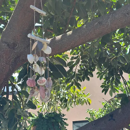 ゲストハウス Albi's 3*