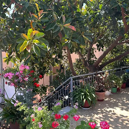 Albi's Guest house Ksamil