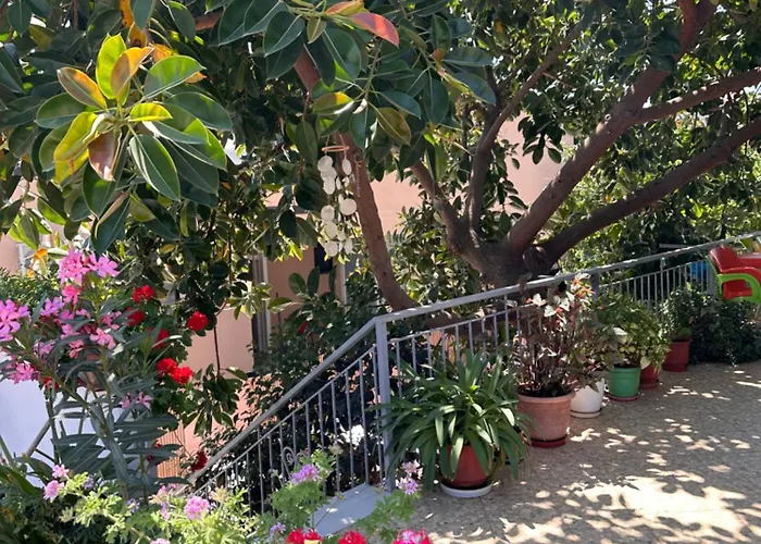Guest house Albi's 3*