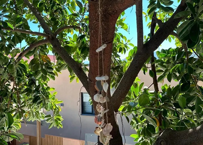 Guest house Albi's 3*