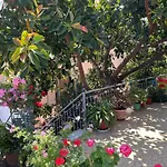Penzion Albi's 4*