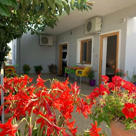 Guest house Albi's