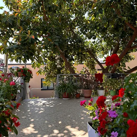 Albi's Guest house *