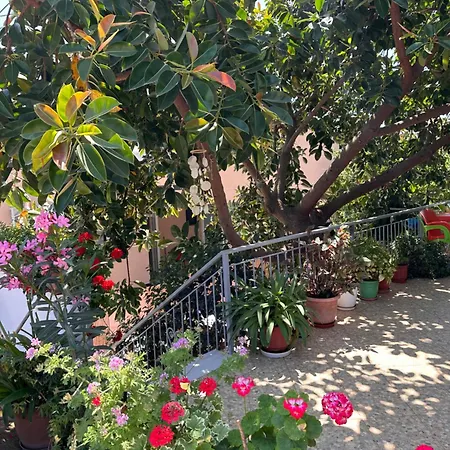 Guest house Albi's *