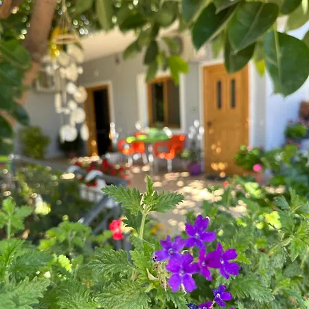 Albi's Guest house *