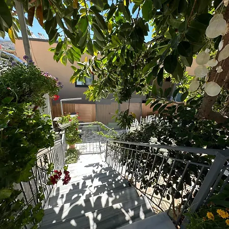 Guest house Albi's