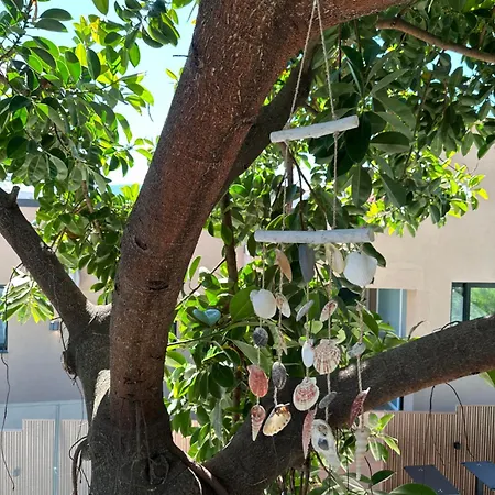 Albi's Guest house Ksamil