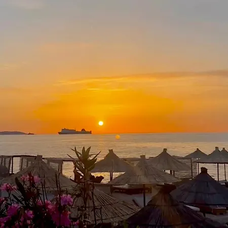 Albi's Maison d'hôtes