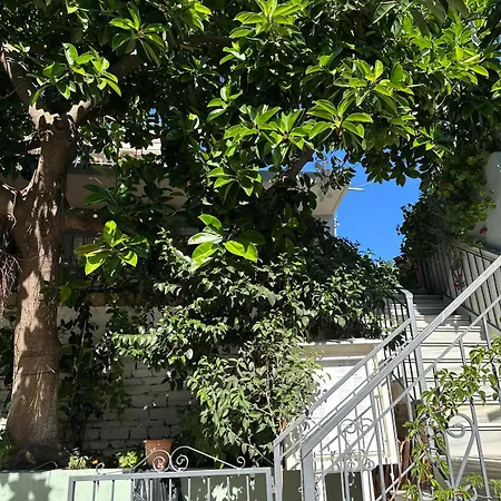 Maison d'hôtes Albi's