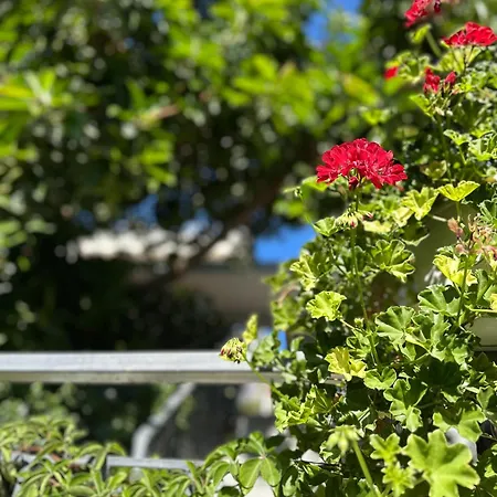 Albi's Maison d'hôtes 3*